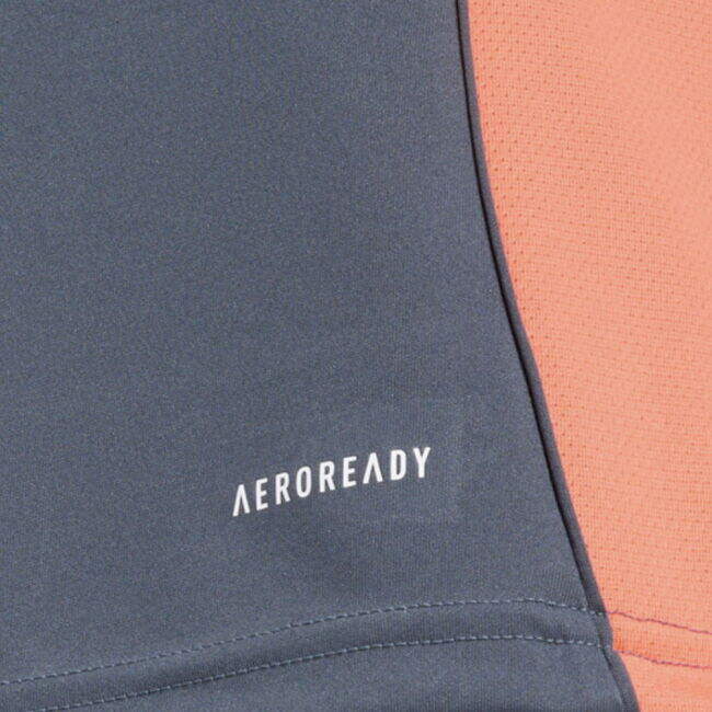 2025-2026 Bayern Munich Training Shirt (Bold Onix)