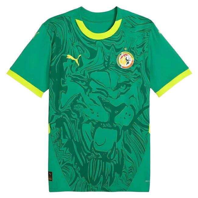 Senegal National Football Team Replica Jersey - Adults Version