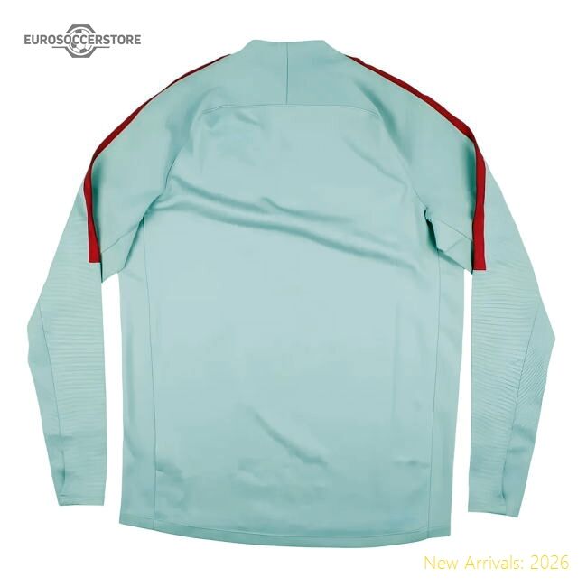 Official Psg 2016-17 Nike Training Top. (M) (Very Good)