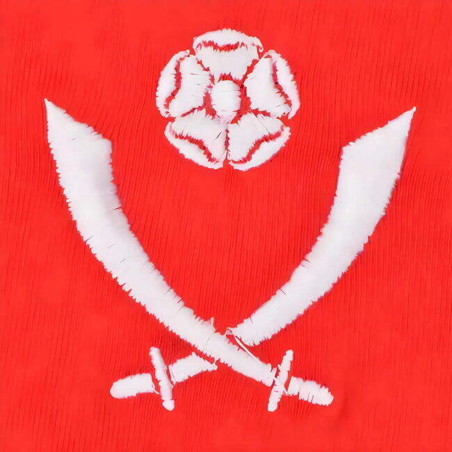 Belgium Modern Jersey 2025-2026 #96