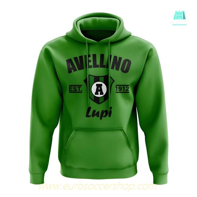 Avellino Established Football Hoody (Green)