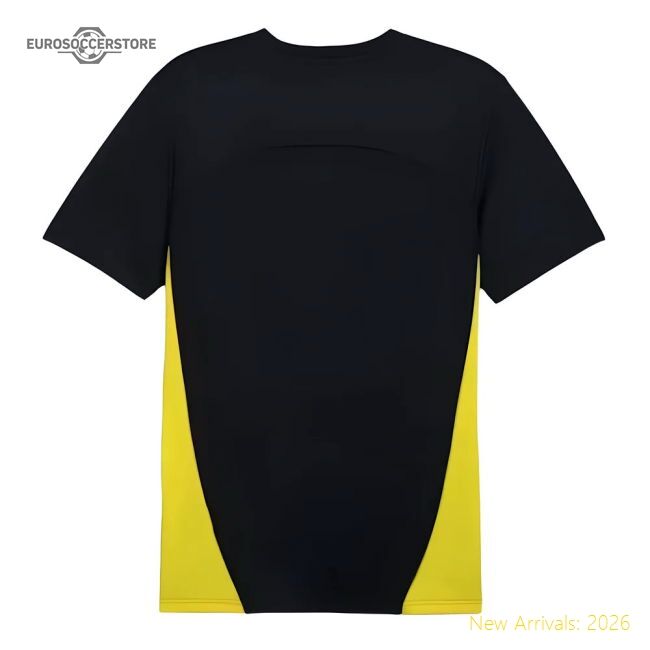 Elite 2024-2025 Borussia Dortmund Training Shirt (black)