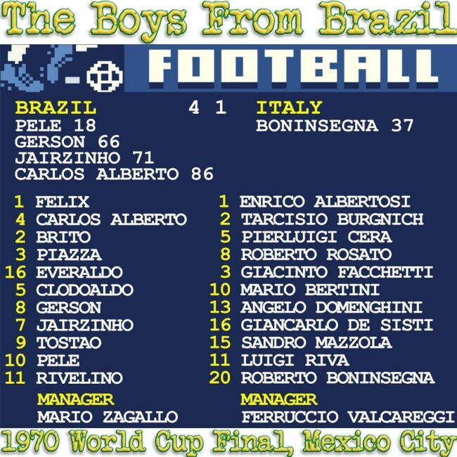 Adult Brazil Jersey 1970