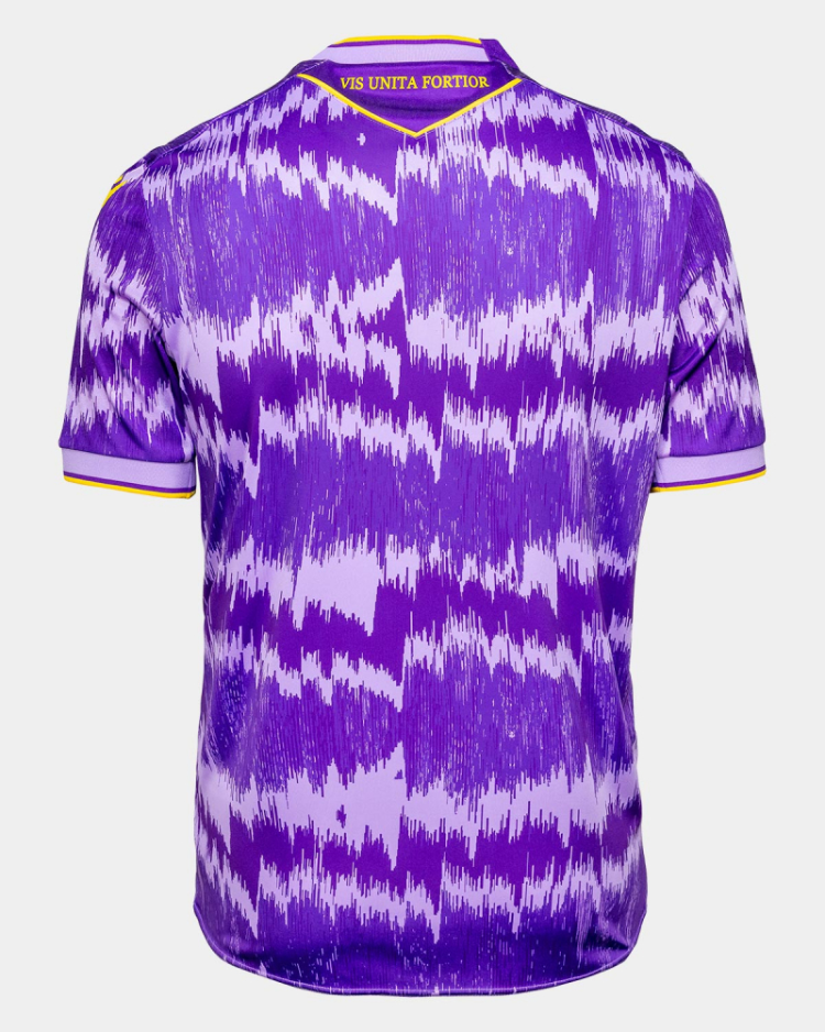 Stoke City's Away Football Jersey for the 25-26 Season