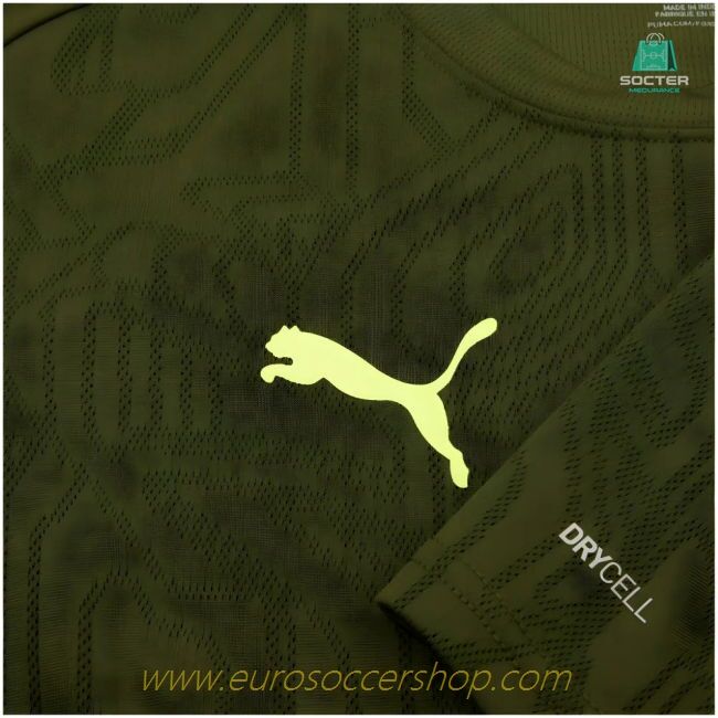 2024-2025 Borussia Dortmund Training Shirt (Myrtle)