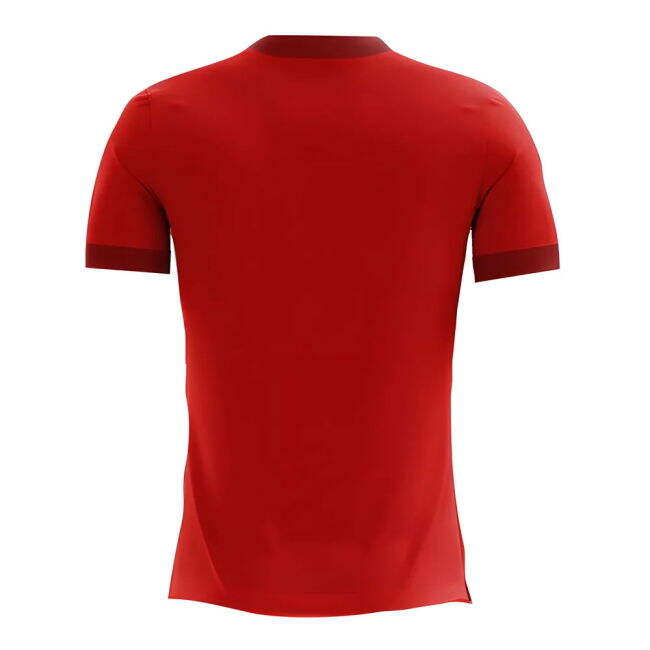 2025-2026 Home Shirt by Egypt (Men