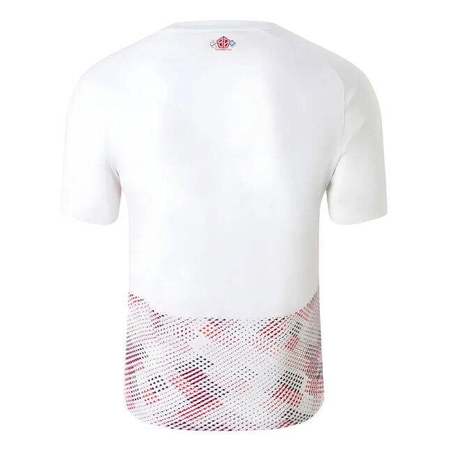 Lille Performance Away Jersey 2024-2025