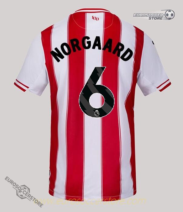 Brentford's 25-26 Home Jersey, featuring NORGAARD with the number 6.