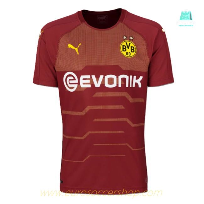 Borussia Dortmund 2018-19 Third Shirt (S) (Mint)