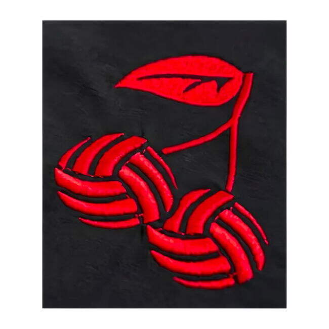 2025-2026 Bournemouth Soccer Club T-Shirt Kit