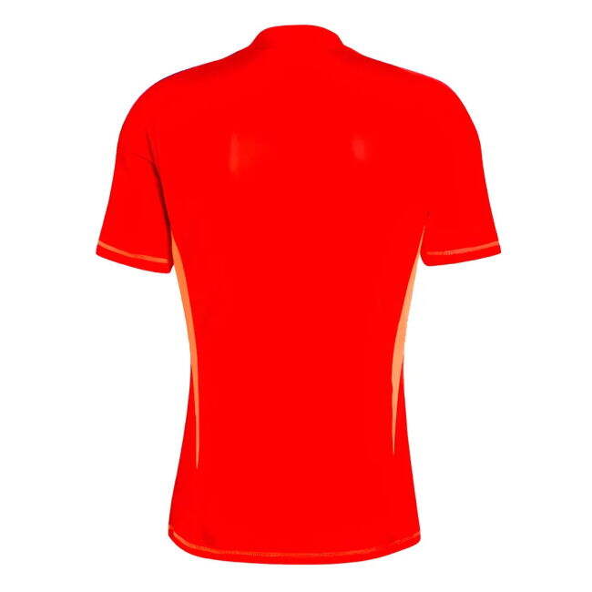 Juventus Goalkeeper official style Home Shirt 2024-2025