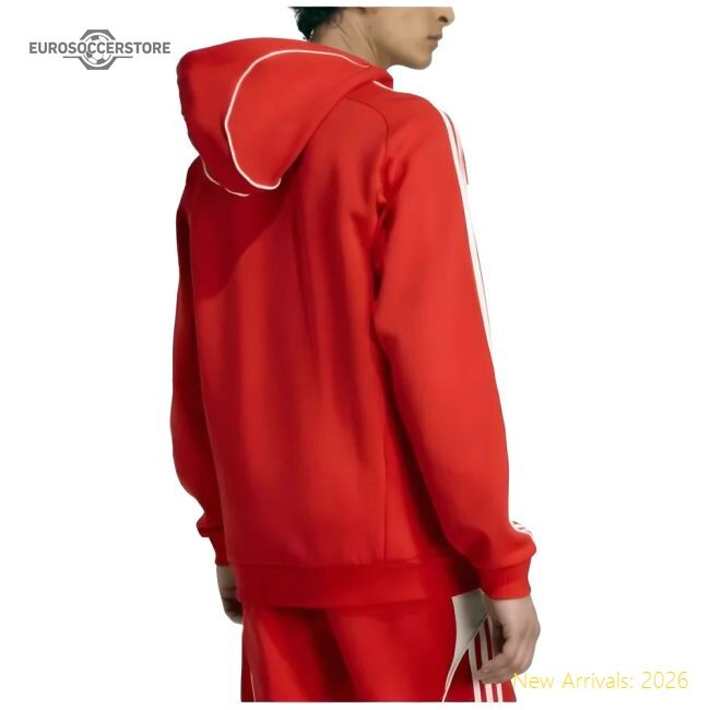 Outstanding 2025-2026 Bayern Munich Ubp Doubleknit Hoody (red)