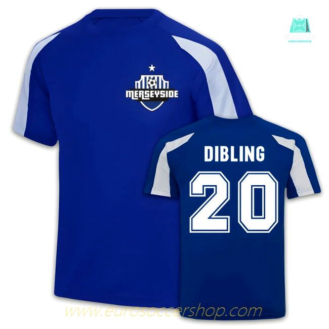 Dibling Everton Sports Training Jersey (Blue)