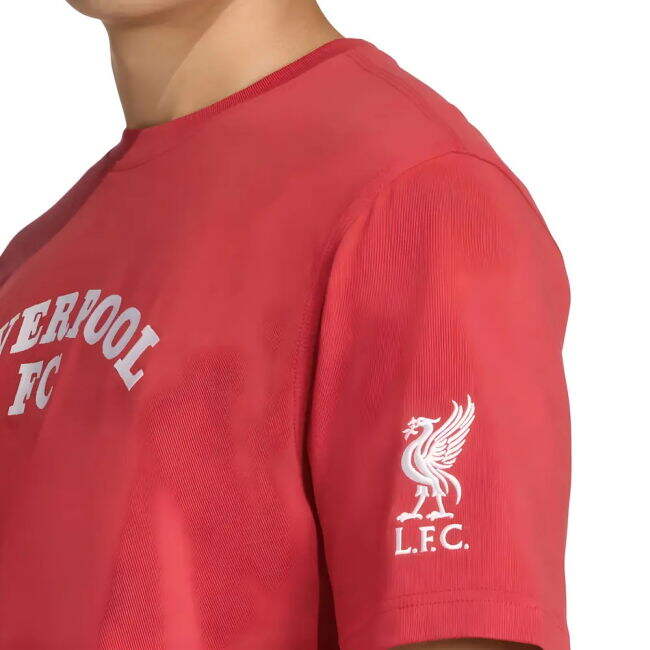 Liverpool 2025-20 Home Football Shirt () L S_728