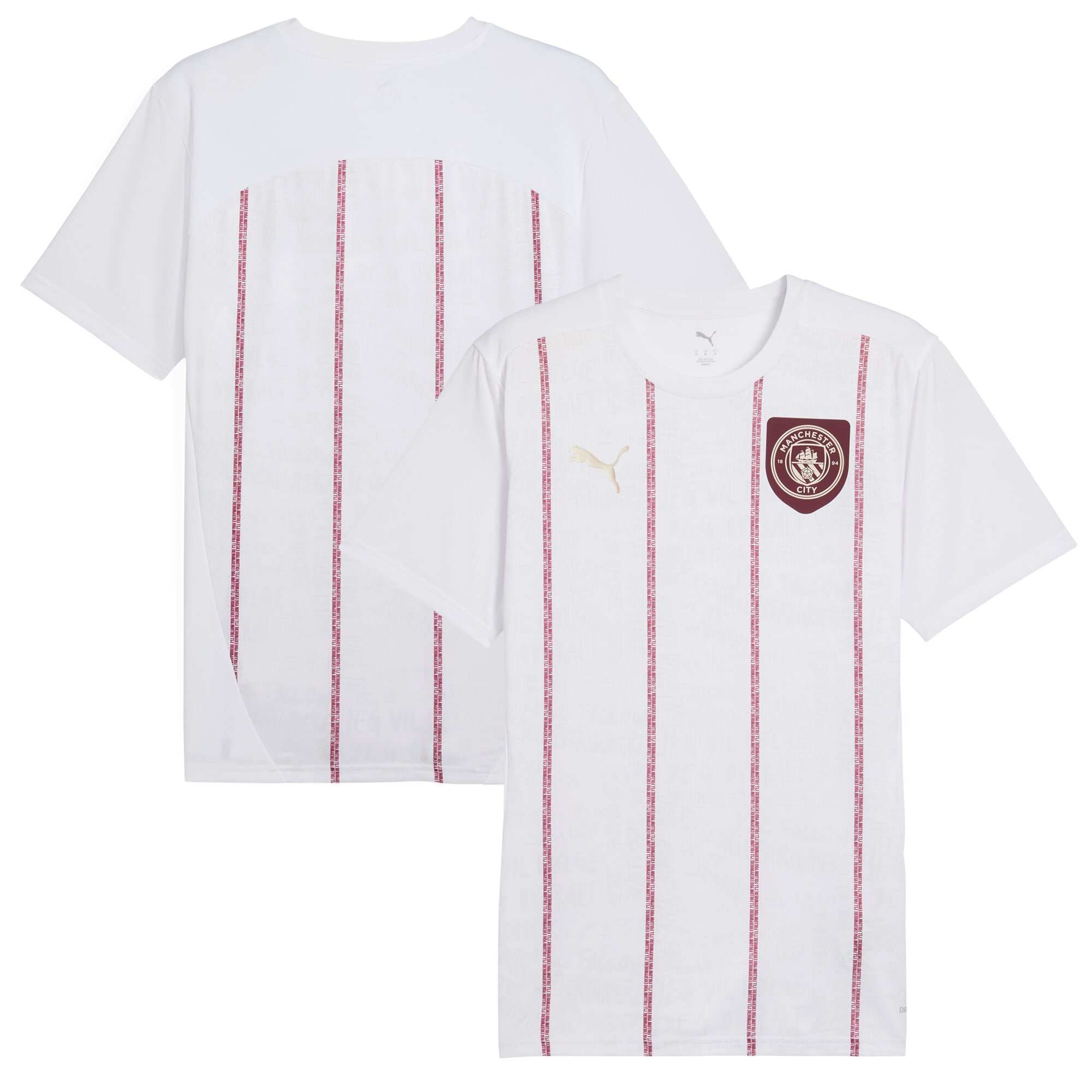 Man City Men's 2024 Elite Jersey - Authentic - Free Shipping