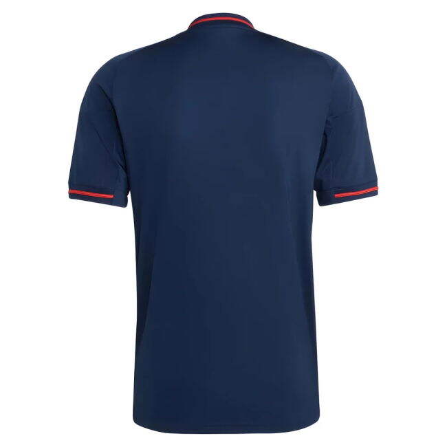 Replica Quality Lyon Away Fan Jersey (Adults)