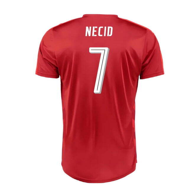 New Czech Republic Home Match Shirt 2016-2017 (Necid 7)