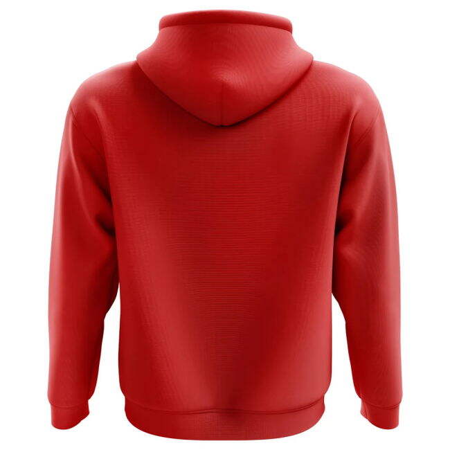 2025-2026 Denmark Home Hoody for (Kids