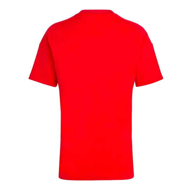 Hungary official style Home Shirt 2024-2025 (Men