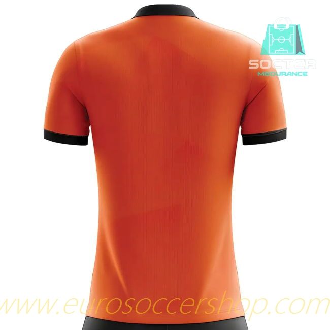 2018-2019 Holland Home Kit World Cup Concept (V.NISTELROOY 10)