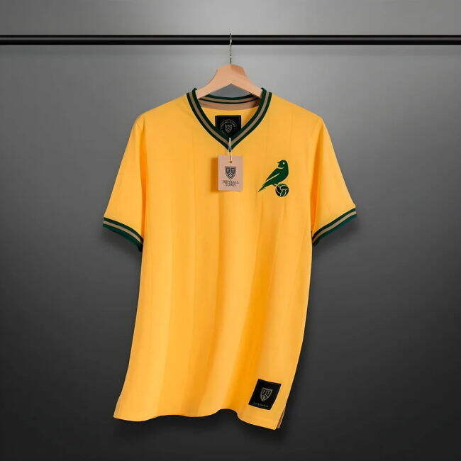 Adult Brazil Jersey Vintage