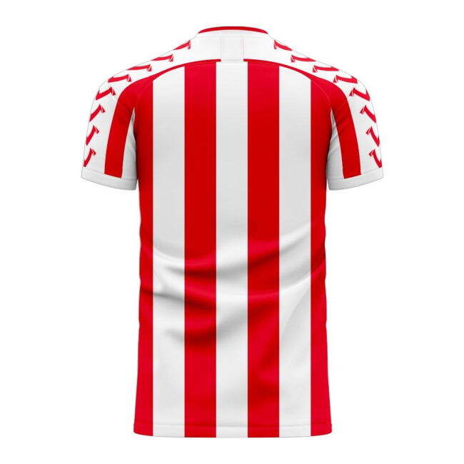 Stoke 2025-2026 Home Concept Football Kit (Viper)