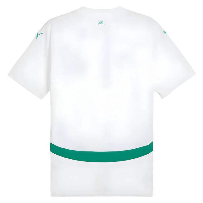 Professional Senegal 2024-2025 Home Jersey