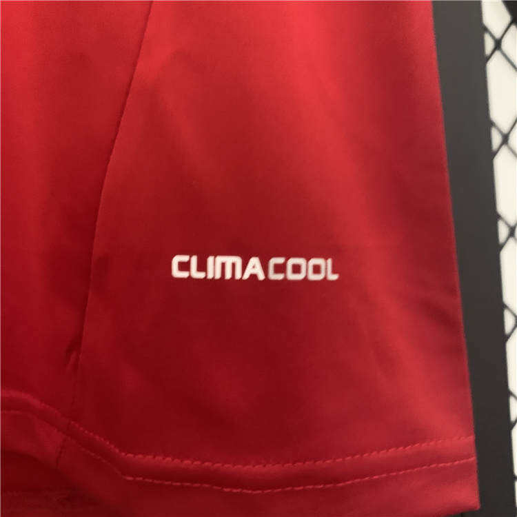 Professional Spain 2012 Home Retro Shirt - Official Replica 25939