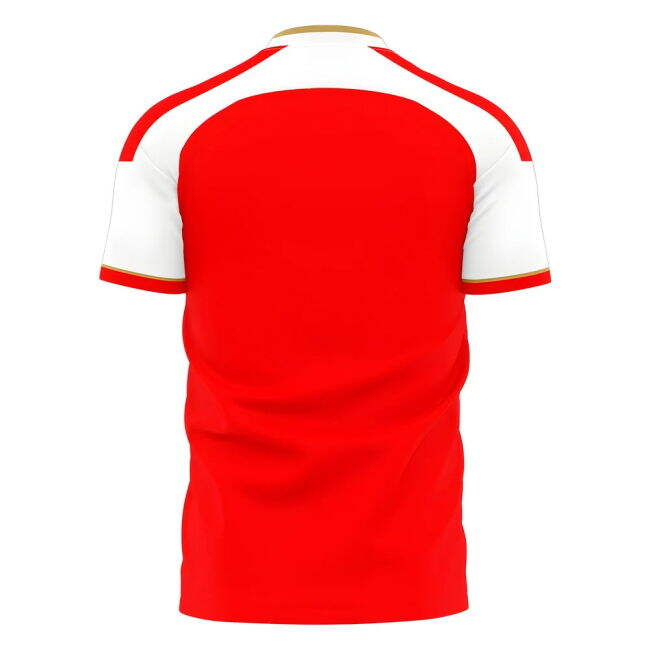 Arsenal Pro Home Jersey North