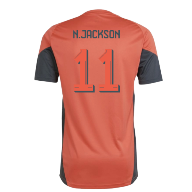 Bayern Munich Main Team Pro Level Training Player Jersey