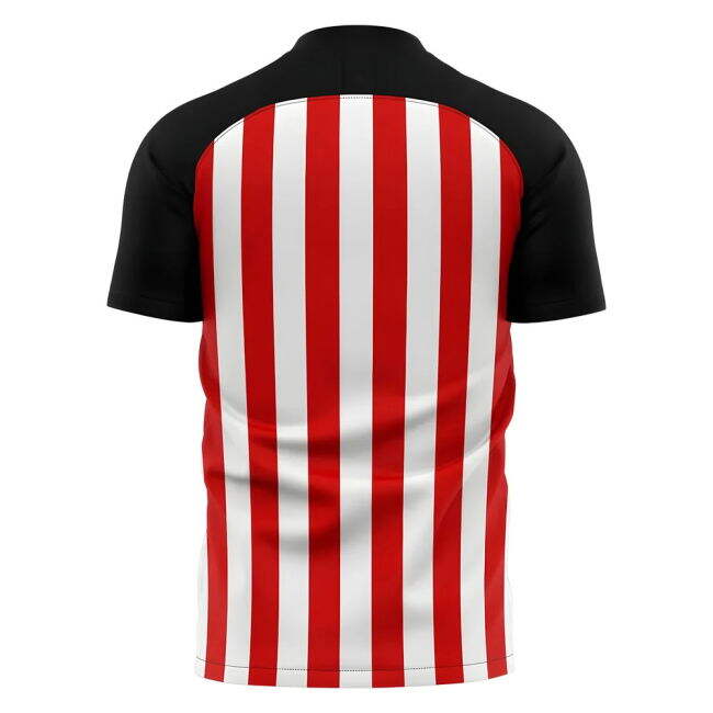 Elite Sunderland 2025-2026 Sunderland Home Concept Football Shirt