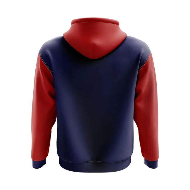 Taiwan Concept Country Football Hoody (Navy)