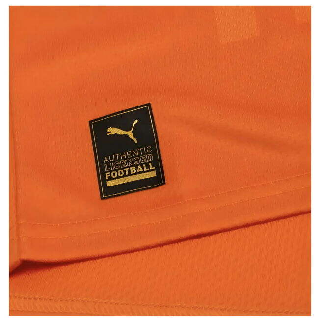 Professional Ivory Coast 2023-2024 Home Shirt