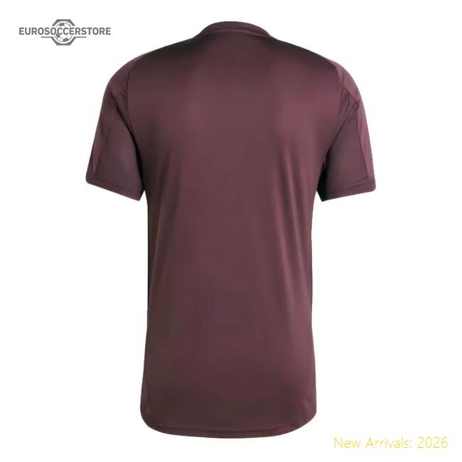 2024-2025 Bayern Munich Training Shirt (shadow Maroon) - Supporter Edition