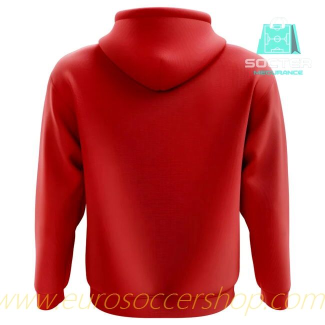 2025-2026 Season Denmark Home Jersey Libero Collection