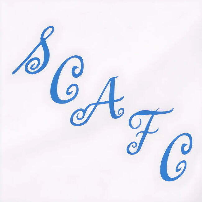 League Two Elite Jersey Stockport