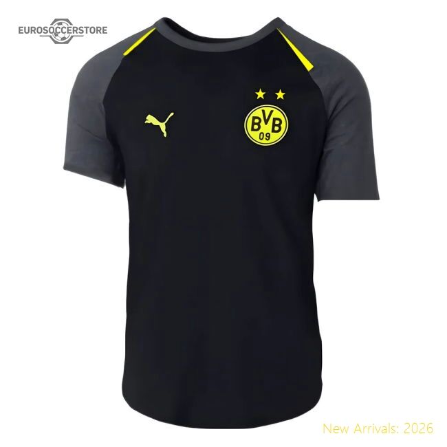 2023-2024 Borussia Dortmund Casuals Tee (black) - Cost-effective