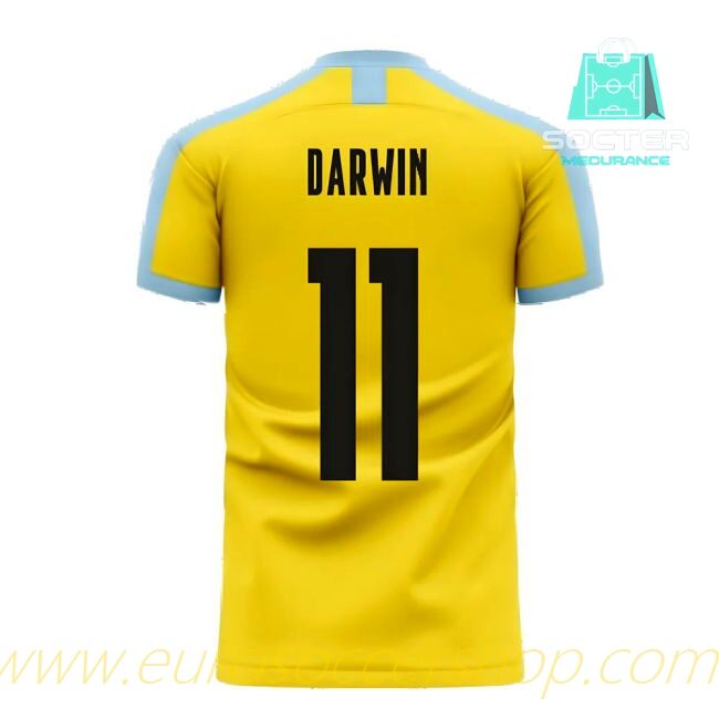 2025-26 Edition Uruguay Replica Away Kit Libero (DARWIN 11)