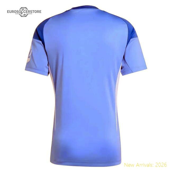 Superior 2025-2026 Real Madrid Home Goalkeeper Shirt (blue)