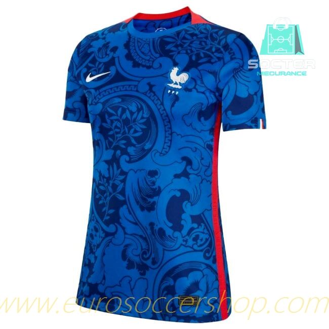 France Home Kit (RENARD 3)