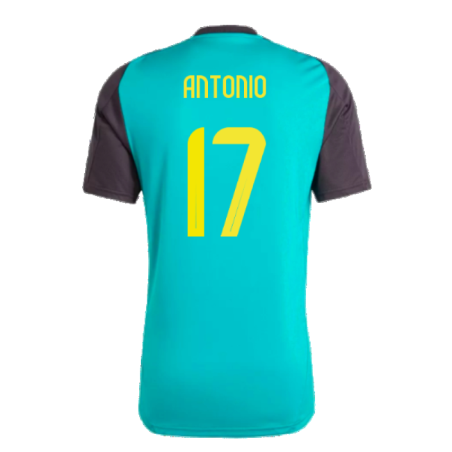 Professional Jamaica 2024-2025 Training Jersey (Antonio 17)