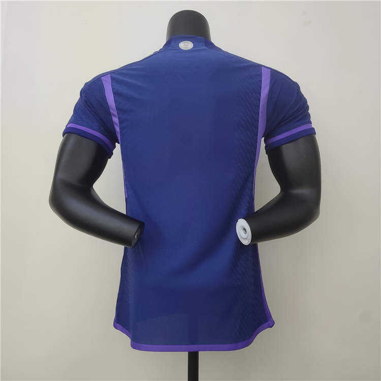 Professional Grade Argentina World Cup 2022 Away Purple Soccer Jersey
