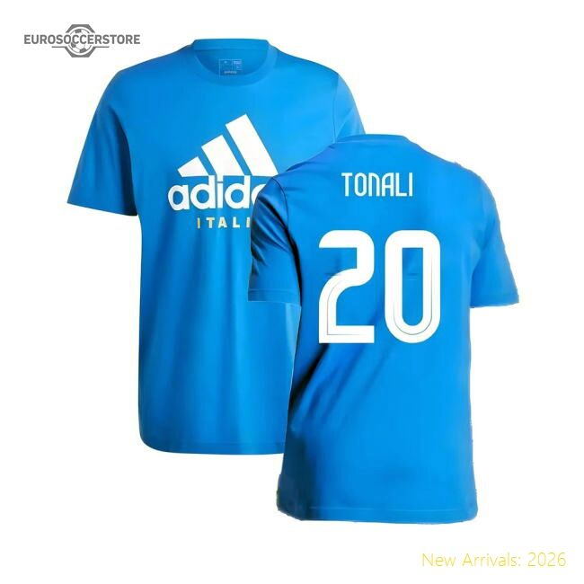 Authentic European Team 2024-2025 Home Short Sleeve Shirt