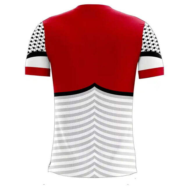 Palestine 2025-2026 Home Concept Football Kit (Libero) - Womens