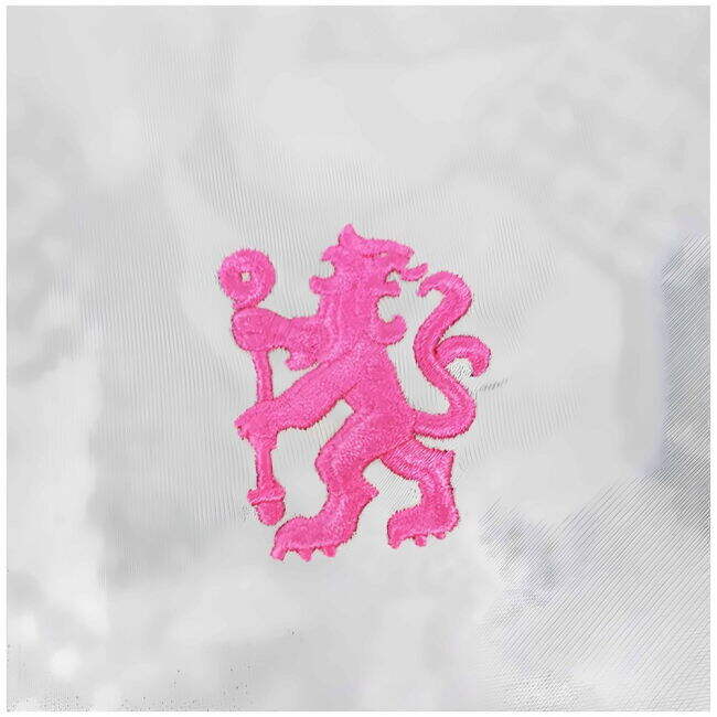 Adult Chelsea Jersey 2024-2025