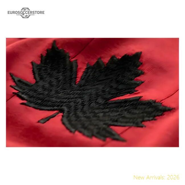 Canada The 20242025 Home Top Shirt Modern Drifit Contemporary