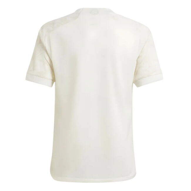 Bayern Munich Classic Third Jersey 2023-2024