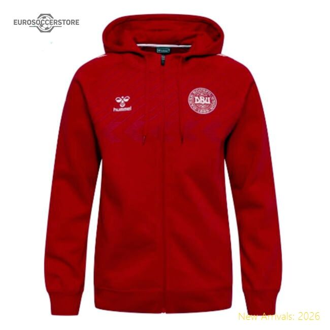 High-performance Denmark 2022-2023 Official Regular Hoodie