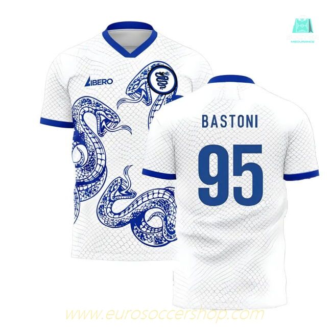 Inter 2025-2026 Away Concept Football Kit (Libero) (Bastoni 95)