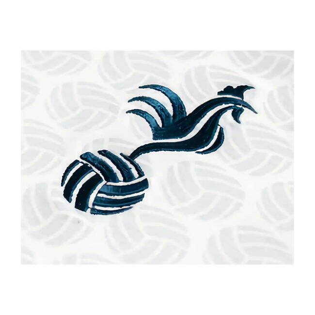 Genuine 2025-2026 France EURO Away Jersey